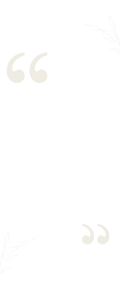 section-bg